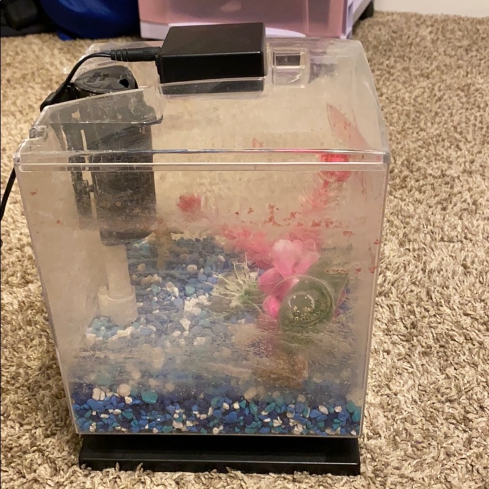 Fish tank